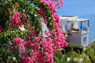 Aktur Residence - Bitez - 0