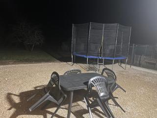 Les oiseaux du paradis - Saint-Aignan - 1