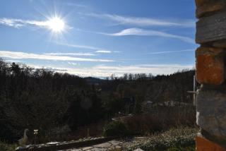 PM-APART Ries Rosina - Graz - 8