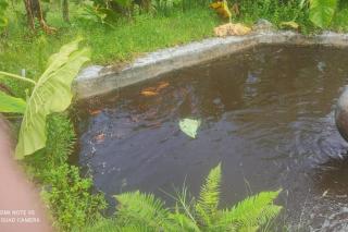 Finca la cristalina - 5