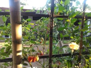 Mbah Mek Trawangan Homestay - Gili Trawangan - 8