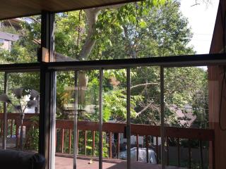 Hollywood Hills Spacious Retreat - Los Angeles - 4