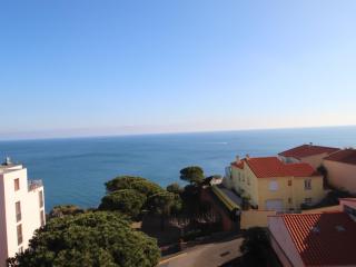 BANYULS-SUR-MER, appartement T2 avec ascenseur proche plage - FR-1-309-102 - Banyuls-sur-Mer - 8