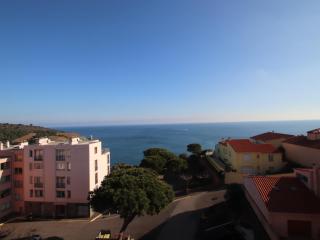 BANYULS-SUR-MER, appartement T2 avec ascenseur proche plage - FR-1-309-102 - Banyuls-sur-Mer - 9
