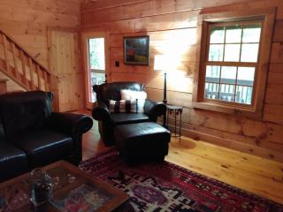 Wolf Laurel Bee Mountain Retreat - Pet Friendly - Swiss - 5