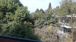 Damfu Basera Homestay - 4