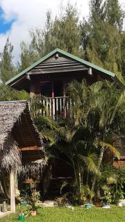 B & Bee Wild Island - Nature Song - Fare - 7