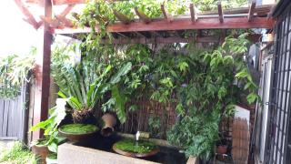 Jerry's Homestay Batu Caves Gombak - Batu Caves - 8