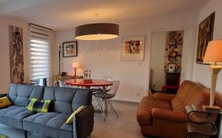 "Le 43" Terrasse, jardin, 2 garages - Colmar - 7