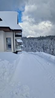 Domki Wilcze Pole - Waksmund - 6