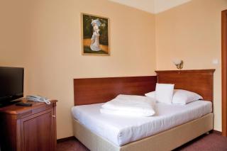 Wellness Hotel Ida - Františkovy Lázně - 8