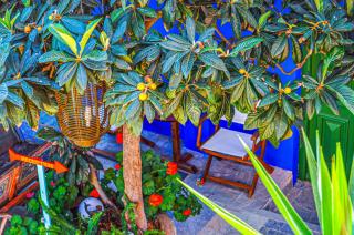 Symi Garden Studios - Sými - 4