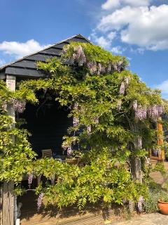 Pool House, farm stay - Brackley - 8