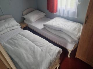S295 3 BED DELUXE PET FRIENDLY CARAVAN - Chapel Saint Leonards - 2