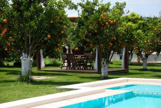 Neriana Villa - Garden Paradise - Chania - 0