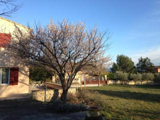 Mas Les Coutilles - Cabrières-dʼAvignon - 6