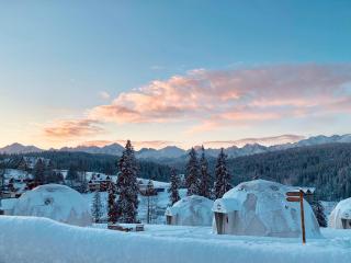 Tatra Glamp Bukowina Tatrzańska - Sieć noclegowa Tatra Glamp - Bukowina Tatrzańska - 5