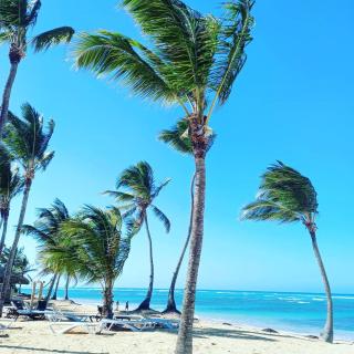 Playa Palmera Beach Resort - Punta Cana - 4