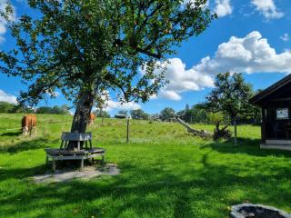 Holzer-Hof - 5
