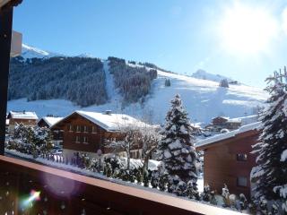 Appartement 3*** cosy, proche pistes Bossonnet, commerces, garage, WIFI - La Clusaz - FR-1-304-84 - 7