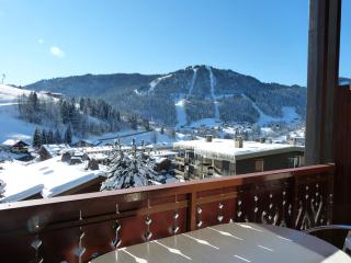 Charmant 2 pièces avec cheminée, proche des pistes et commerces, garage inclus! - FR-1-304-85 - La Clusaz - 5