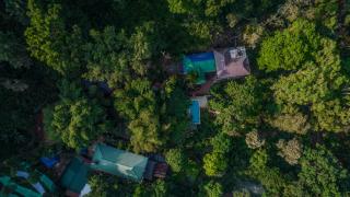 Spice Jungle Resort - Munnar - 2