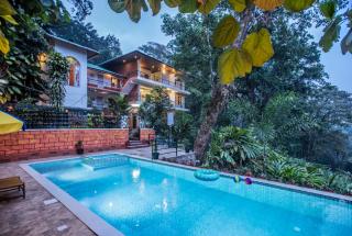 Spice Jungle Resort - Munnar - 0