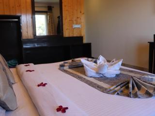 Hotel Kishna Palace - Mussoorie - 4