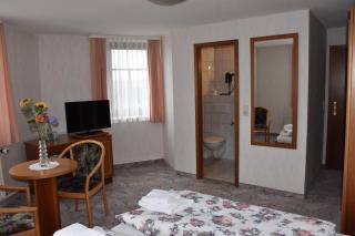 Hotel Carola - Schönheide - 9