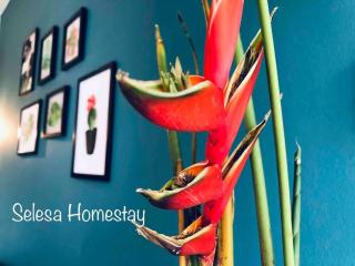 THE GREEN @SELESA HILLHOMES BUKIT TINGGI BENTONG - 1