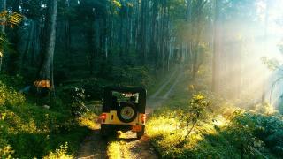 Dew Drops Farm Resorts - Munnar - 6