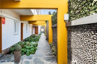 Puccini Oasis - La Rondine - Las Palmas de Gran Canaria - 2