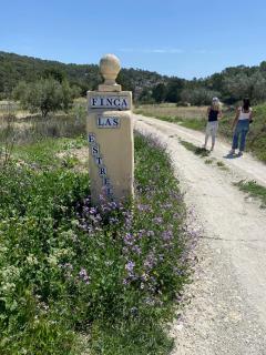 Finca las Estrellas - Relleu - 5