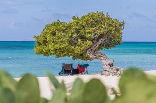 Modern Design Studio Ready For Enjoyment - Oranjestad - 8