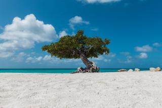 Modern Design Studio Ready For Enjoyment - Oranjestad - 3