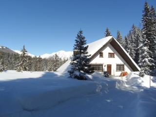 Chalet Atelier - 9