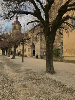 Graine de Tilia - Saint-Antoine - 1