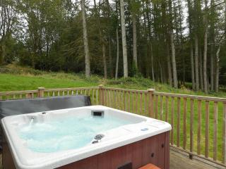 Lord Galloway 32 with Hot Tub - Newton Stewart - 9