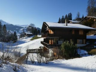 Apartment Chalet Grindelwaldgletscher by Interhome - 0