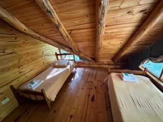 Cabaña en Parque Nacional Los Alerces - Esquel - 3
