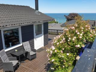Holiday Home Pimen - 200m from the sea by Interhome - Allinge - 0