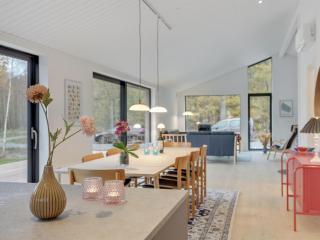 Holiday Home Ellin - 800m from the sea by Interhome - Hasle - 1