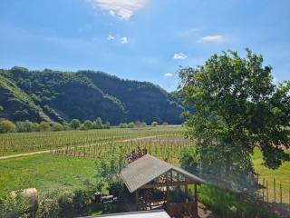 Ferienwohnung Arens - Piesport - 7