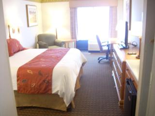 Best Western Plus Olympic Inn - 7