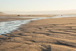 Pelican Shores Inn - 4