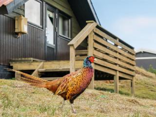 Holiday Home Delia - 300m from the sea by Interhome - Fanø - 8