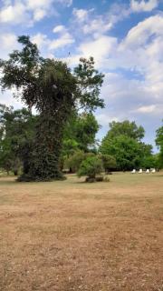 La Guarida Lobos - 4