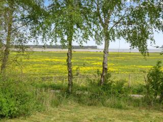 Holiday Home Asfrid - 3-5km from the sea by Interhome - Rømø Kirkeby - 3