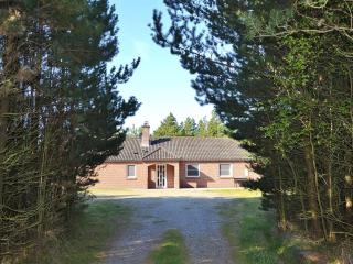 Holiday Home Arletty - 1km from the sea by Interhome - Vesterhede - 7