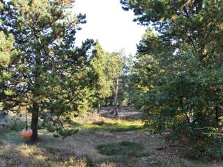 Holiday Home Christian - 3-5km from the sea by Interhome - 1